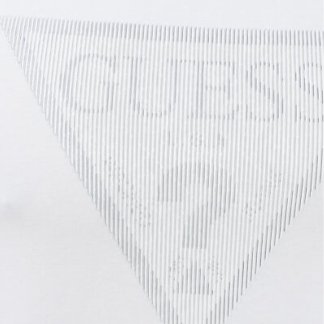 t-shirt_uomo_guess_bianco_dettaglio